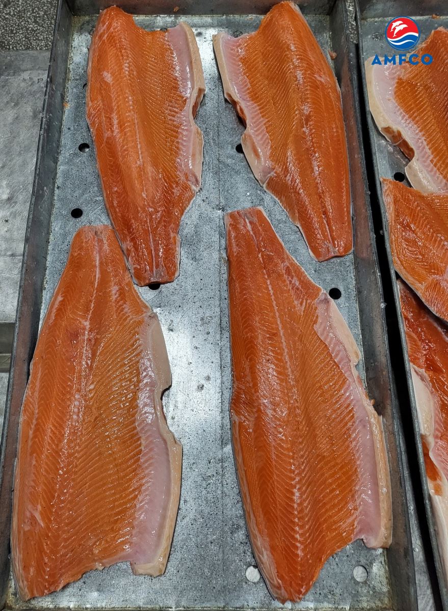 SALMON FILLETS